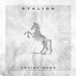 Stalion | Pop Cover Art | Buy Cover Arts