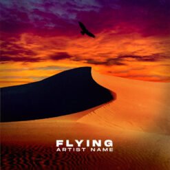 Flying | Buy cover arts | Rock Cover art